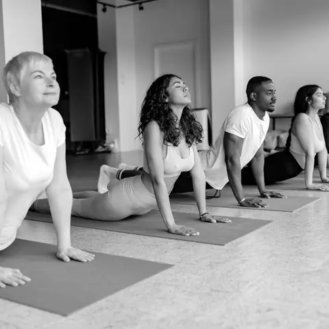 A full yoga class holding cobra pose on mats