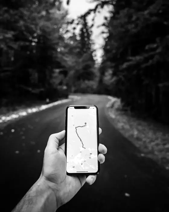 A hand holding a phone with a map route on a forest road